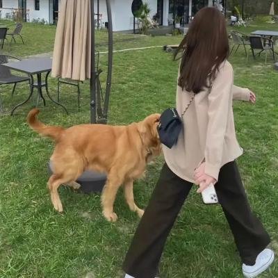 粗犷派建筑师